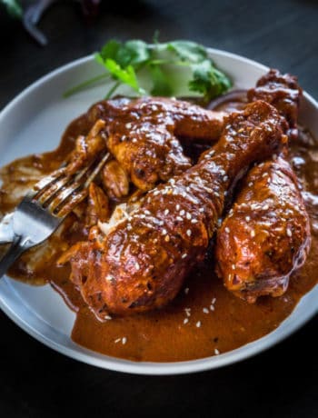 Mexican chicken mole on a plate with lashings of spicy chocolate sauce.