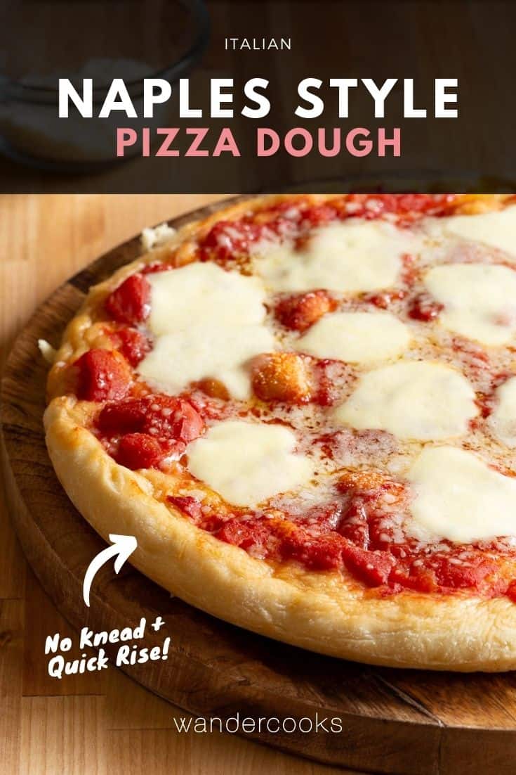 No Knead Italian Pizza Dough Recipe