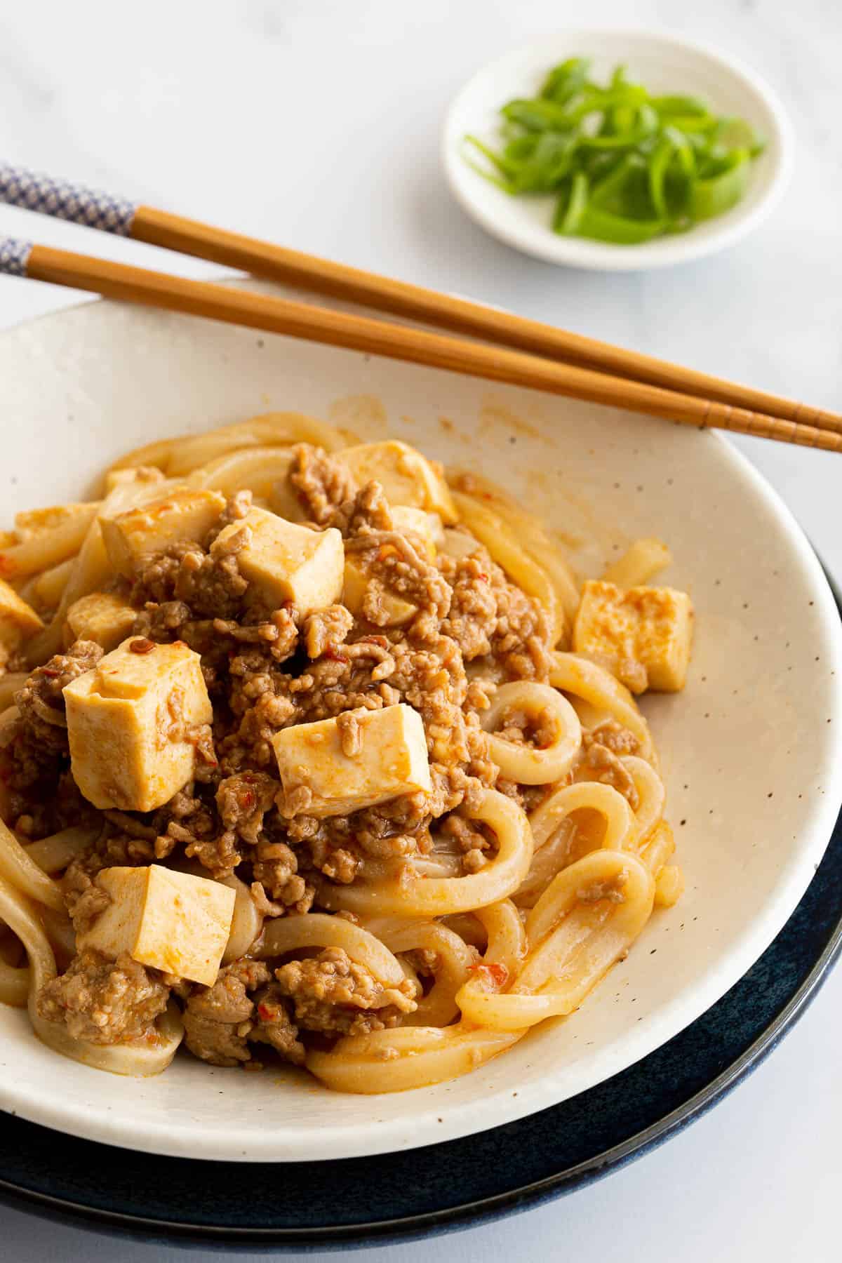 Spicy mabo tofu sauce on top of udon noodles.