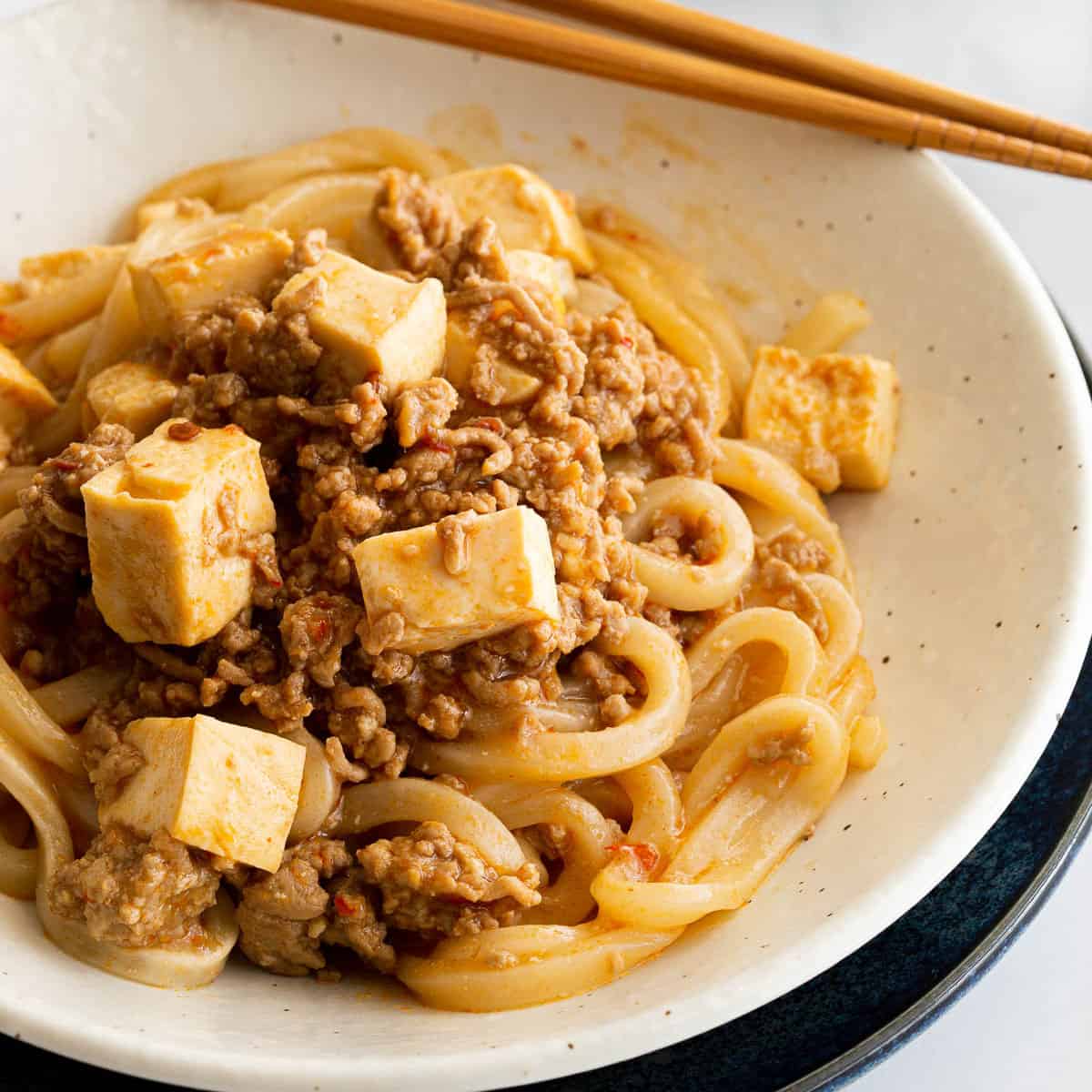 A close up image of Japanese mapo tofu udon noodles.