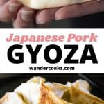 A collage of pork gyoza images.