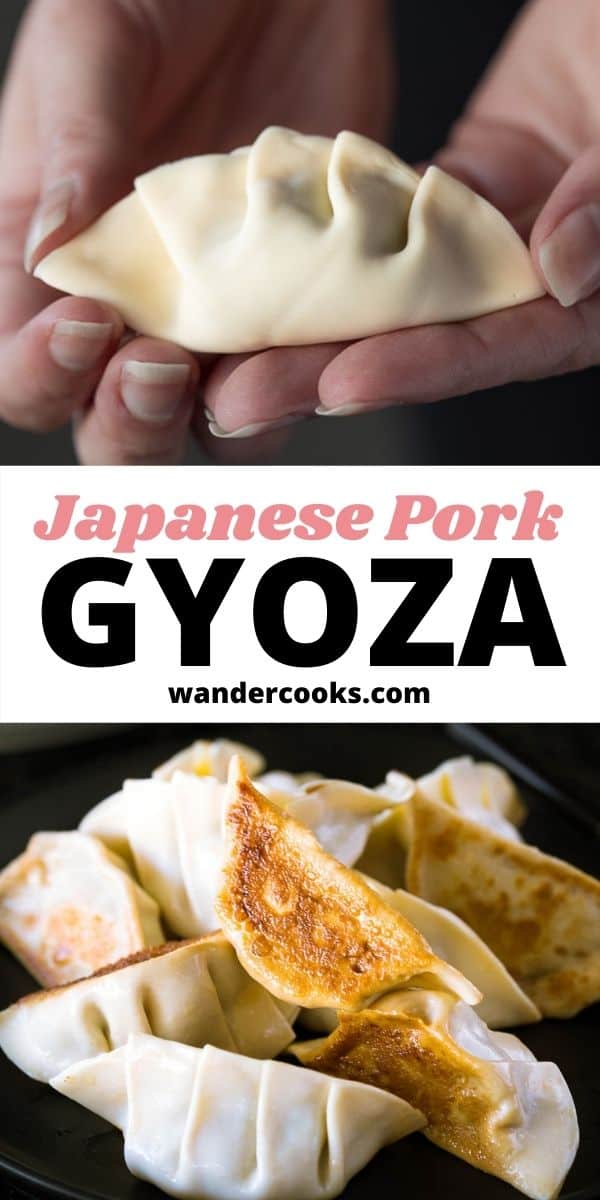 Pork Gyoza - Japanese Dumplings Recipe