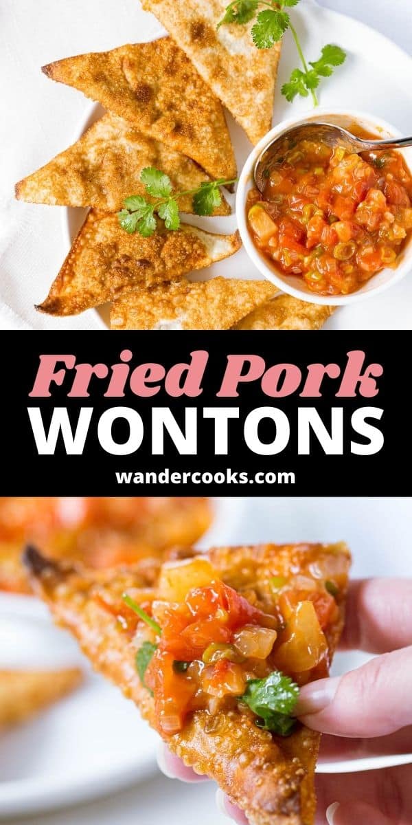 Vietnamese Fried Pork Wontons - Hoanh Thanh Chien
