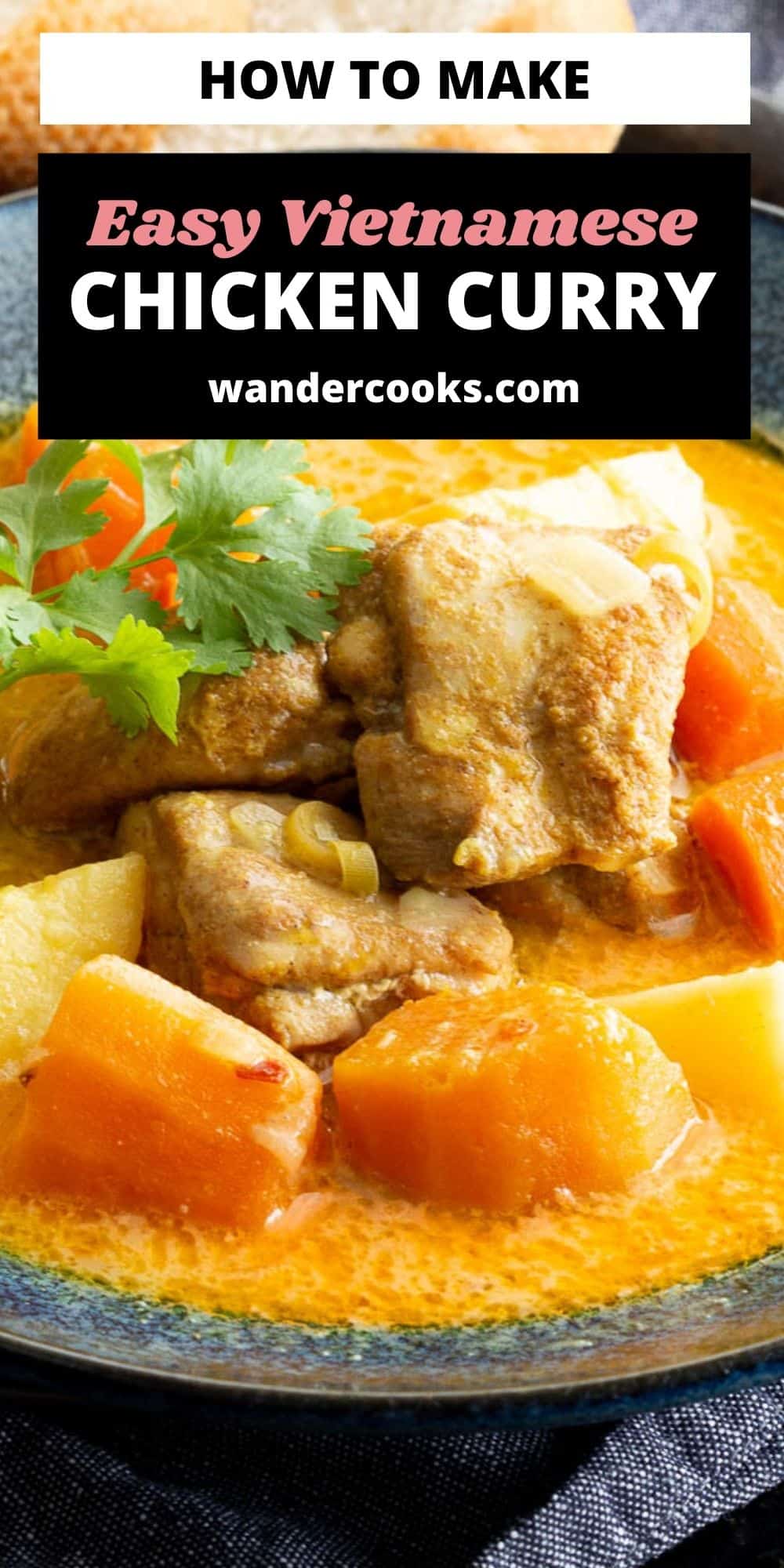 Vietnamese Chicken Curry with Coconut Milk - Ca Ri Ga