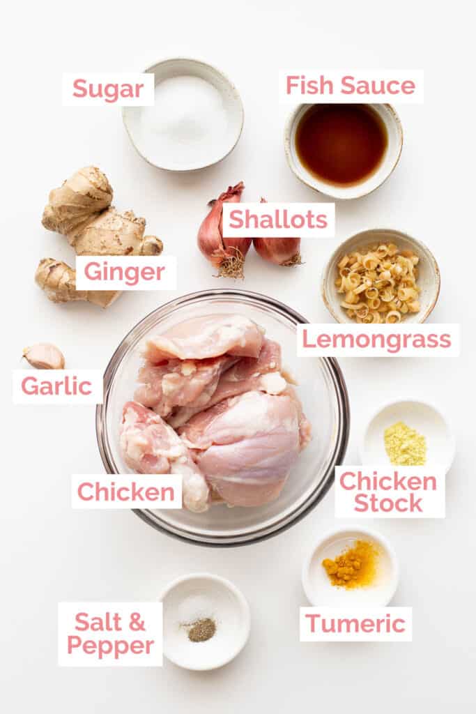 Ingredients laid out to make ginger braised chicken.