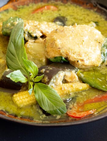 A large bowl of Thai green chicken curry with eggplant and baby corn.