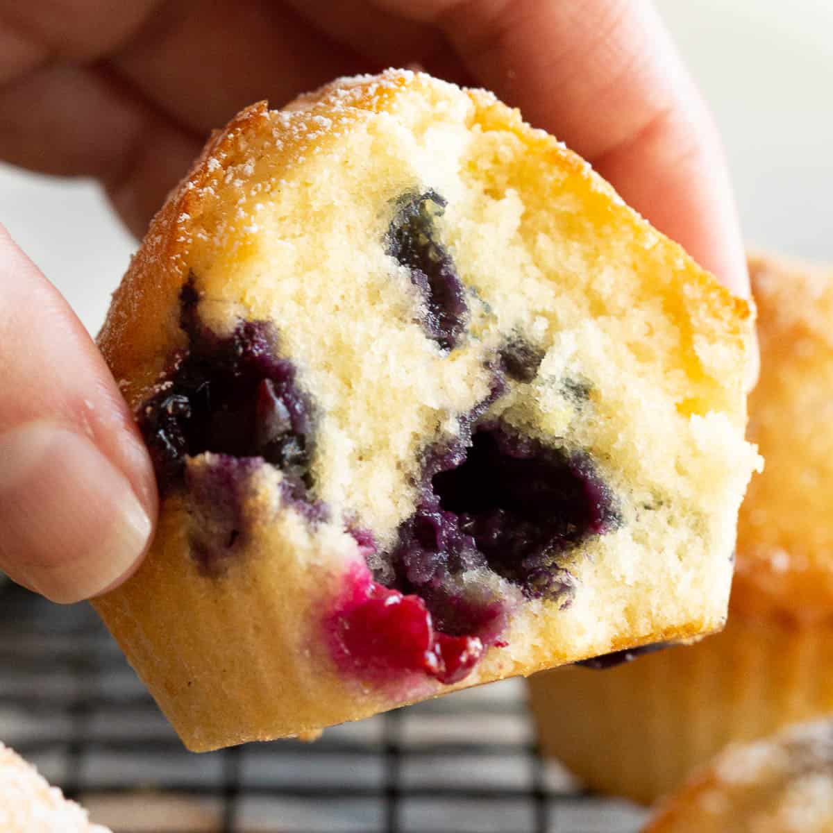 The close up of the crumb on a moist blueberry muffin.