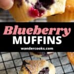 A blueberry muffin with a bite taken out and a cooling rack with lots of muffins.