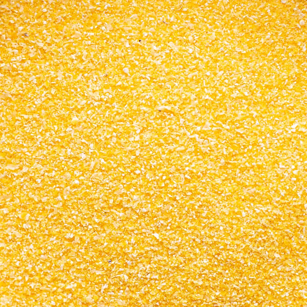 Fine polenta up close showing the gritty texture.