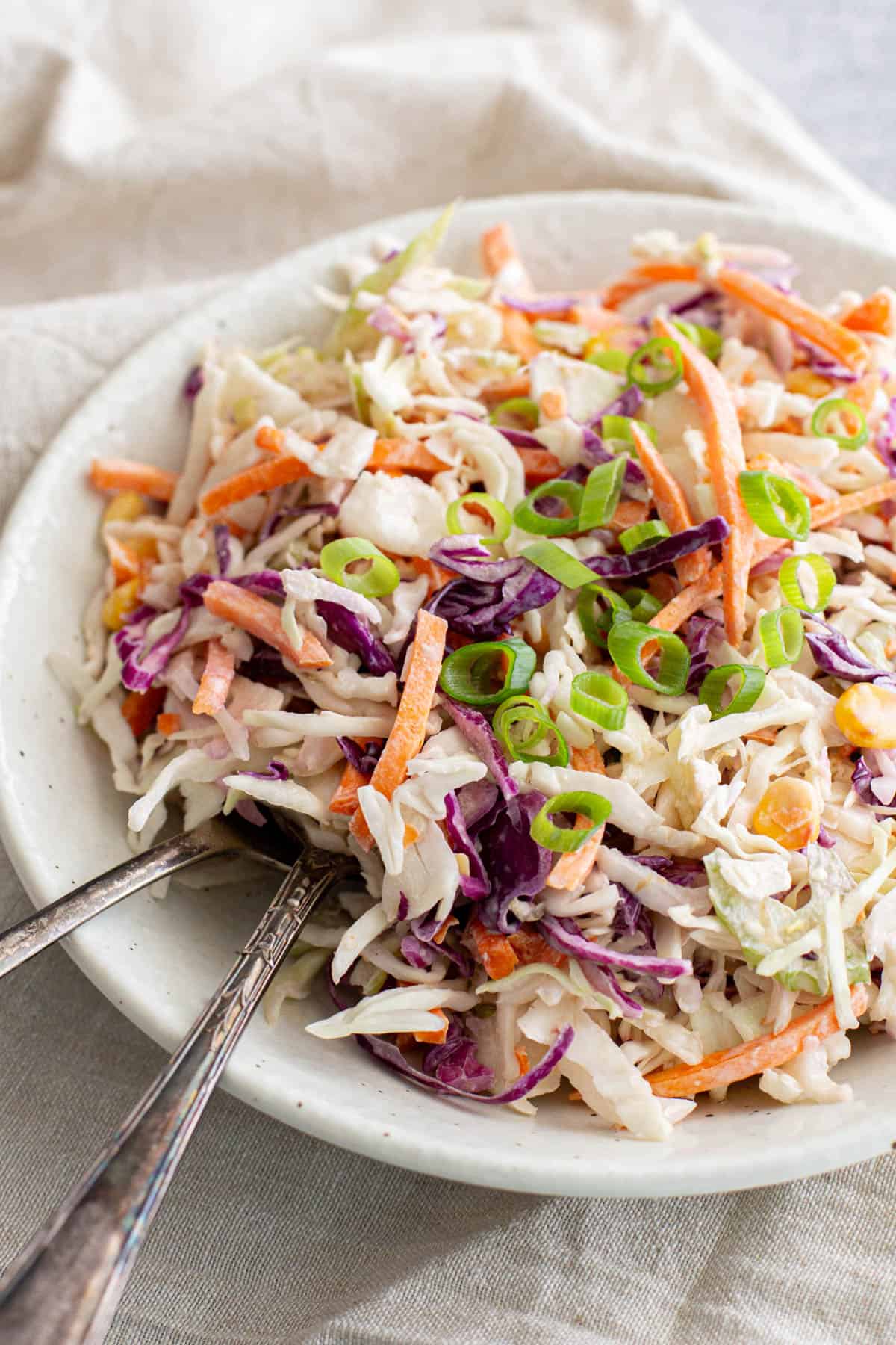 A rainbow of vegetables grated into a coleslaw in a white bowl.