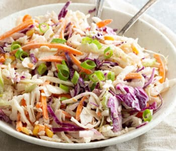 A bowl filled with colourful coleslaw topped with green onions.