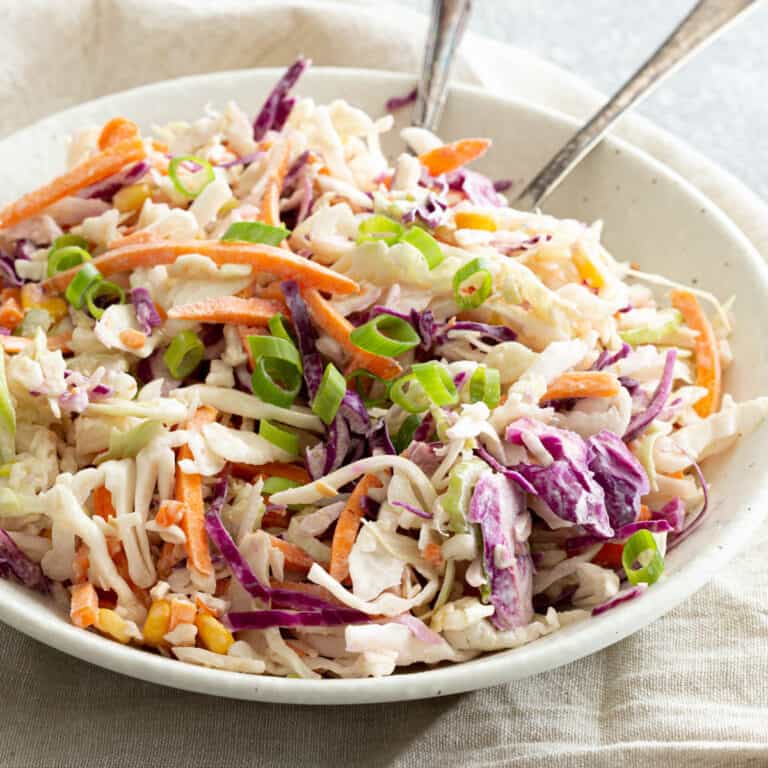 A bowl filled with colourful coleslaw topped with green onions.
