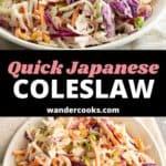 Two bowls filled with coleslaw topped with green onions.