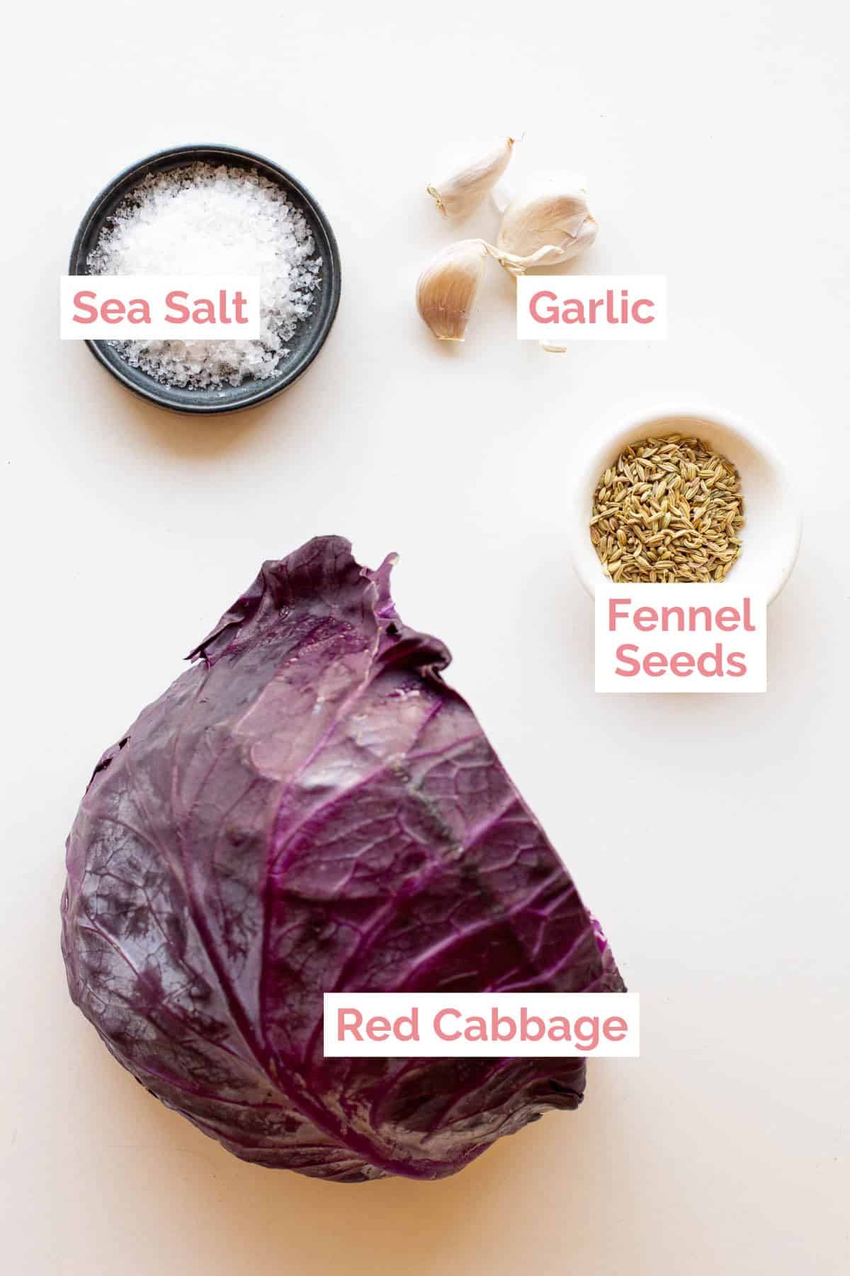 Ingredients laid out to make red cabbage sauerkraut.